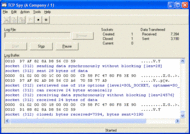 TCP Spy screenshot